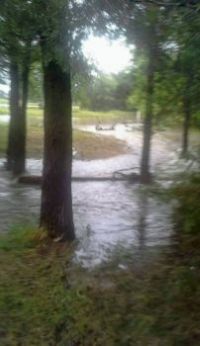 Flood June 22 3014