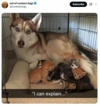 I can explain