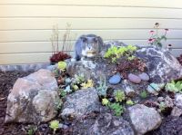 Greyson's Garden