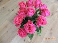 Pink Floyd roses