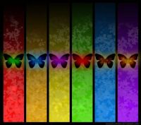 rainbow butterflies