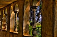 Andretti Winery
