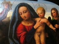 Medieval Museum, Bologna