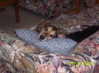 You just can't be TOO comfortable!