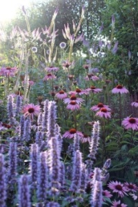 Bloemen