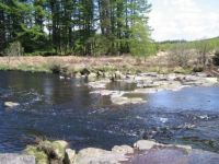 Black Water of Dee - Otter Pool (Scotland)