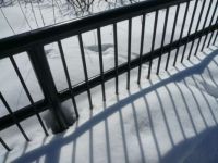 Shineshine and Shadows