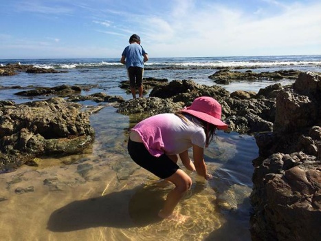 Solve Exploring tide pools at Californias Crystal Cove State Park ...