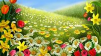 Field n Flowers