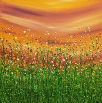 "Popping Sunrise Meadows"