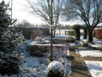 Winter garden