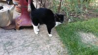 Pretty Dottie