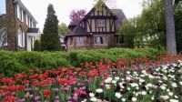 Ottawa Tulip Festival
