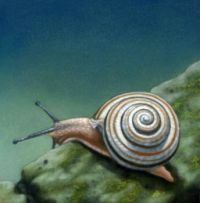 Snail Painting