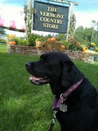 Pippa Highly Recommends The Vermont Country Store