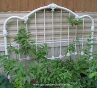 GARDEN IDEAS...USE HEADBOARD AS A TRELLIS...