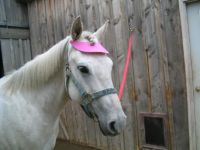 Gracie's Pink Hat