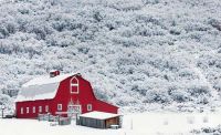 snow coveed barn