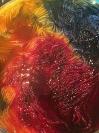 Fiona Sedick's Hand-Dyed Yarn
