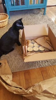 Riley Inspects His Package