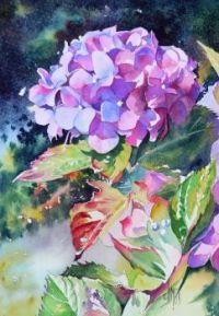 Hortensia - Watercolour by Joel Simon