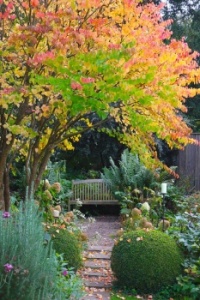 autumn in the garden