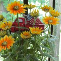 Birthday Flowers
