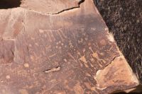 Petroglyphs Petrified Forest NP
