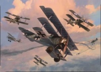 Dogfight