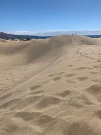 Natural Dune Reserve of Maspalomas