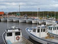 Boats in harbour, Prince Edward Island