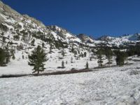 Ruby Crest Trail Trailhead in July