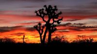 Antelope Valley Sunset