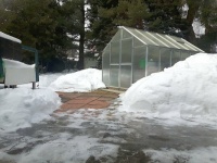 No More Snow