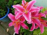 thumbnail_20190803_125232