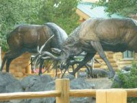 Bronze Elks, West Yellowstone, MT