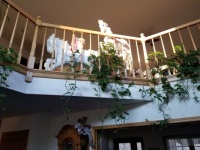 Our loft on a late sunshiny day