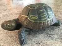 Taffy Turtle