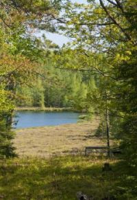 Path to Mud Lake - St. Germain, Wisconsin