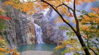 Japanese falls