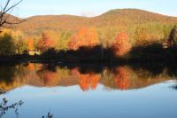 Fall 2015 Morning Sun