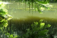 Schwentine, River in Nothern Germany