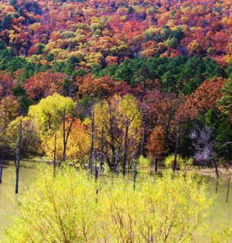 Fall Colors of Kiamichi Mts.