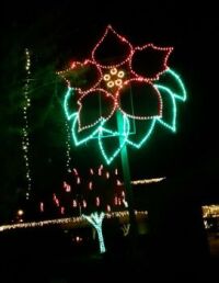Poinsettia Holiday Decoration