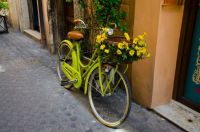 Bike with Floral Basket