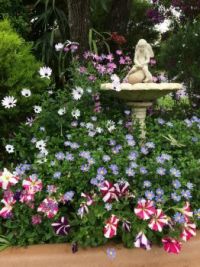 angel in my garden