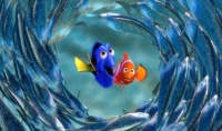 Dory & Nemo