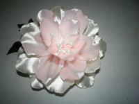 wild rose for lajuin