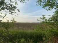 Fincham field view