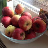 Appels voor Sint Maarten